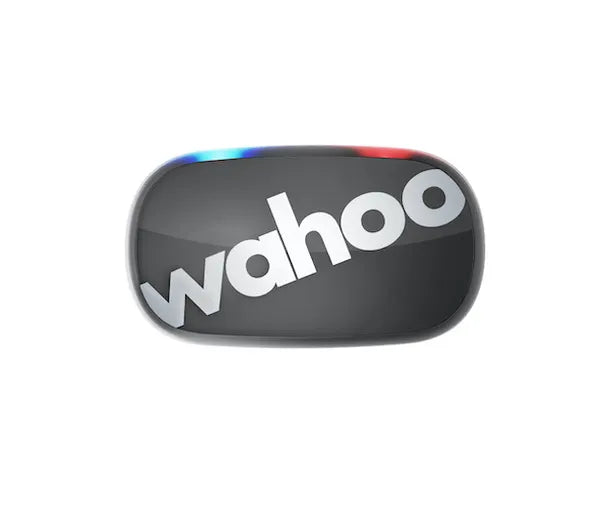 WAHOO TICKR 2